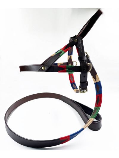 Cooper Dog Harness and Leash Set