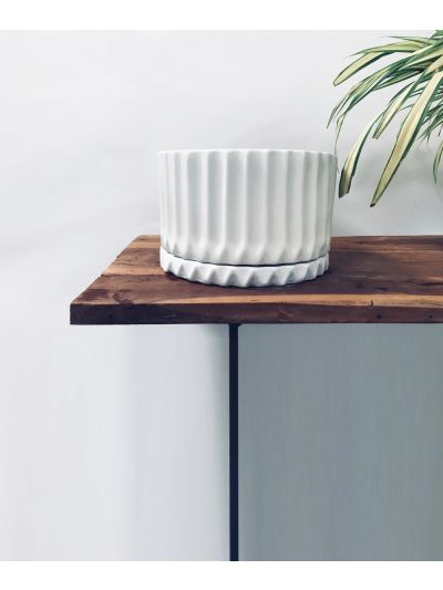 FLEETING BLISS - WHITE