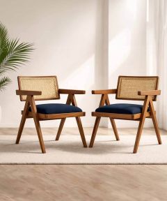 Chandigarh Chairs: Set of 2