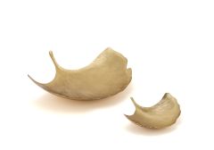 Ginkgo Leaf Platter: Brass