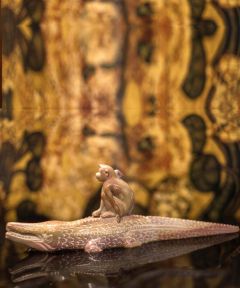 The Wise Monkey Weight