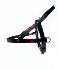 Cooper Leather Dog Harness
