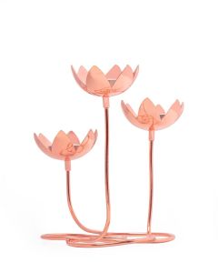 Copper Lotus Cluster
