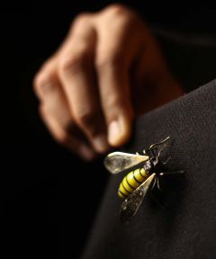 Honey Bee Brooch  