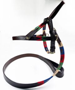 Cooper Dog Harness and Leash Set