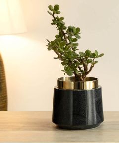 Oronoir Marble Planter