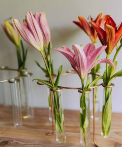 Carousel Test Tube Vase: Antique Copper
