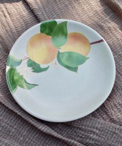 Apricot Appetizer Plates