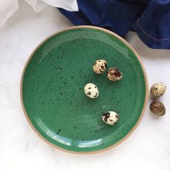 Coupe Dinner Plate: Speckled Green