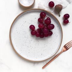 Rimmed Dinner Plate : Speckled Snow