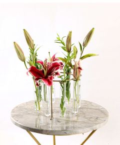 Carousel Test Tube Vase: Antique Brass