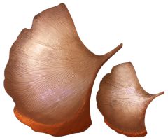 Ginkgo Leaf Platter: Copper: Small