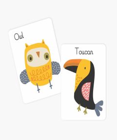 Animals Flash Cards 