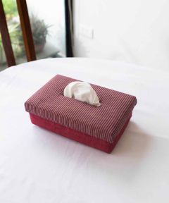 Titan tissue box
