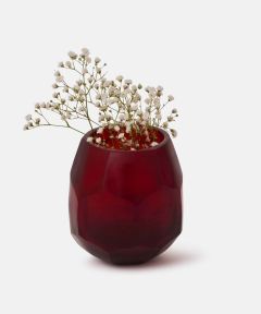 Red Seed Vase
