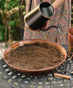 Everyday Greens Round Planter Tray