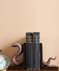 Ananta Snake Shaped Stone Bookends