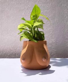 The Celestial Planter