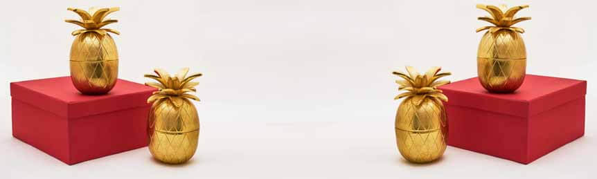 Celebrating Sibling Love: Thoughtful Rakhi Gifting Ideas for Your Beloved Sister