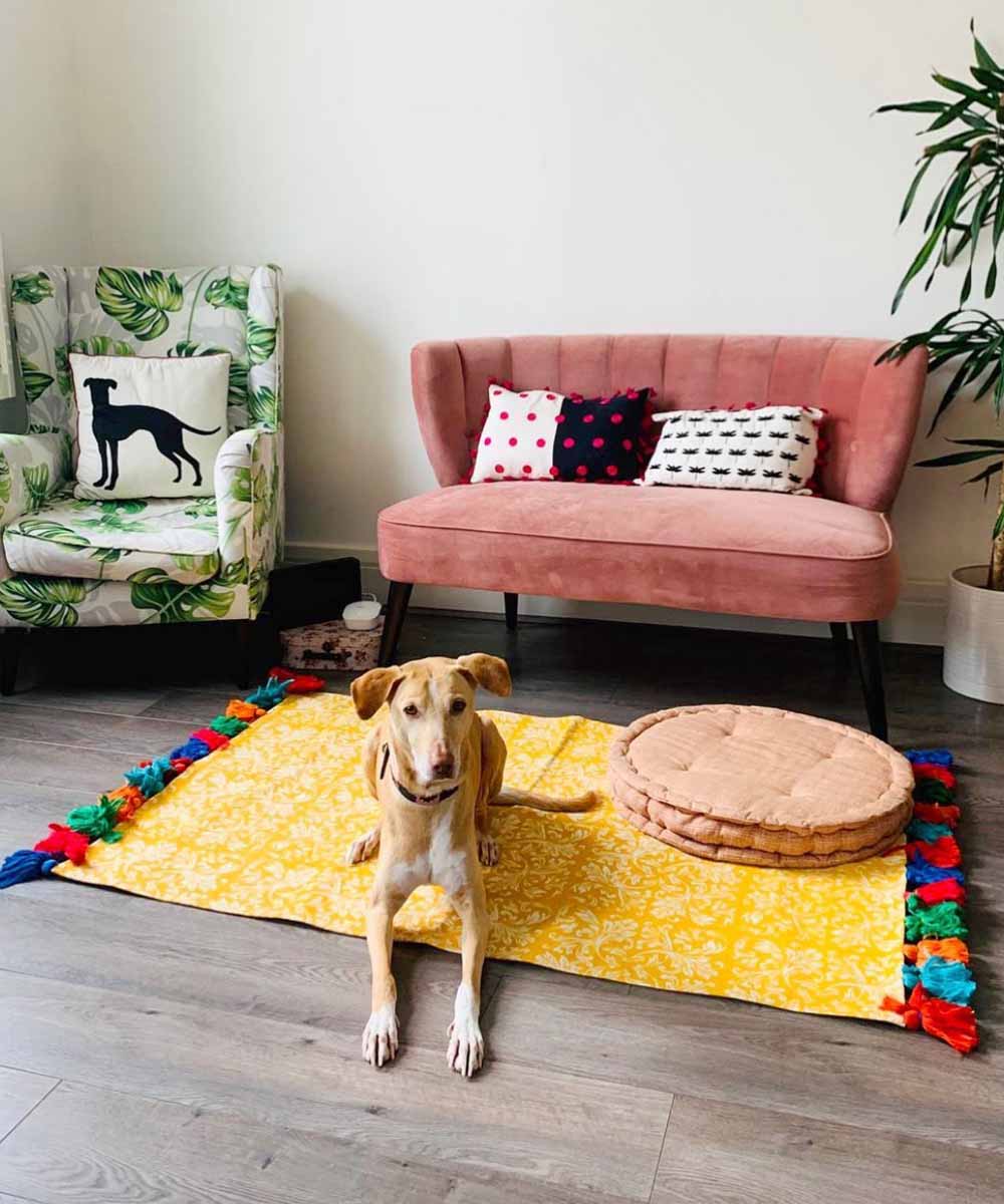 10 Summer Decor Pieces To Keep You Cool, Calm and Cozy This Summer